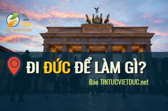 Đi Đức để làm gì?