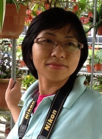 Trần Vũ Bình